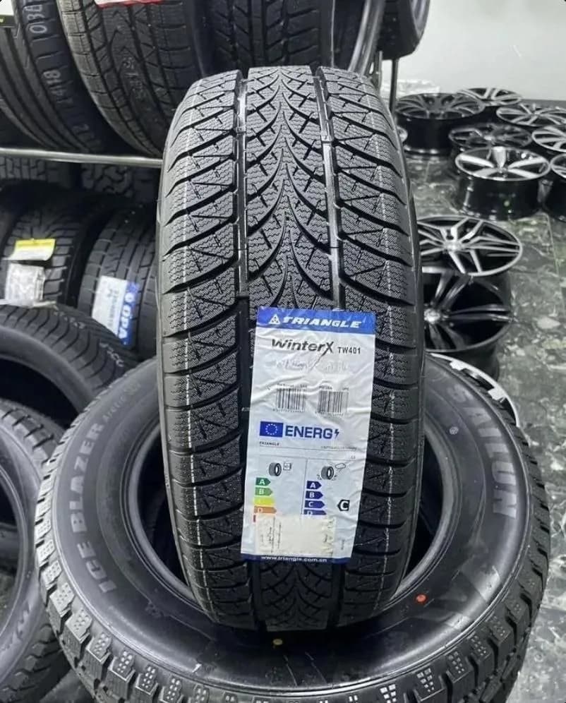 Triangle TW401 WinterX 205/65 R16 95H
