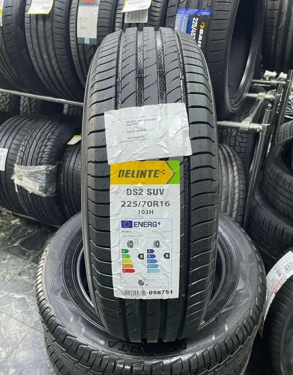 Delinte DS2 SUV 225/70 R16 103H