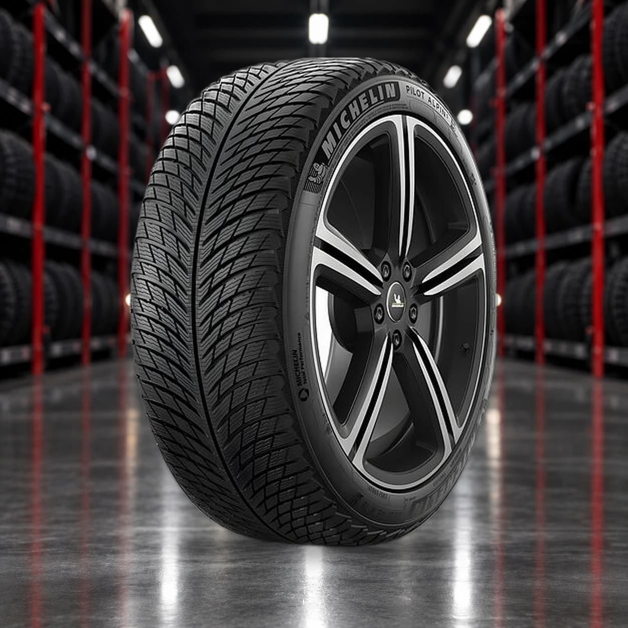 Michelin Pilot Alpin PA5 255/30 R19 91Y